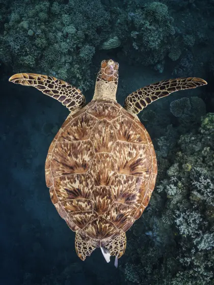Costa Rica volcano with lake and fog