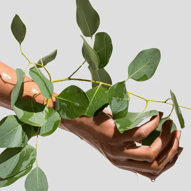 2 cops looking out of the window