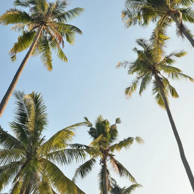 Man in space infront of the black hole