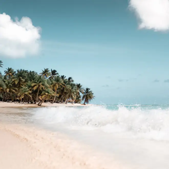 Pretty woman looking into the camera